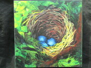 Robin's Nest Print on Board