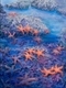 Tidepool Heaven Greeting Card